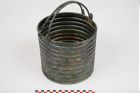 Foto von Bronzerippenciste (NHMW-PRAE-025983)